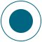 Blue circle icon